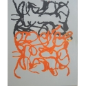 Black & Orange