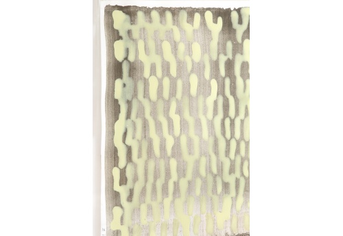 Carnet d'étude n°13