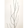Bronze maison arbre