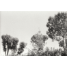 fragments 2a 