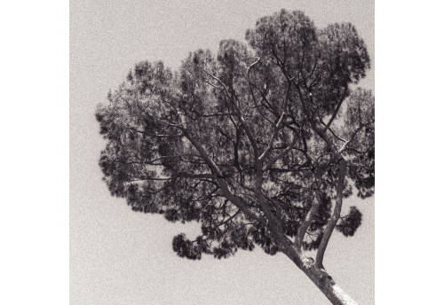fragments n°1