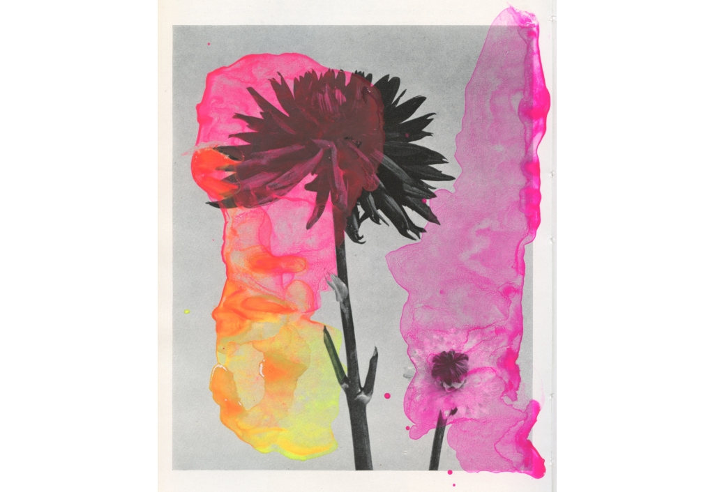 Ikebana