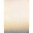 huile sur papier  - eberhard ross