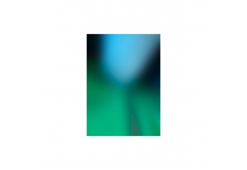 Palinopsie 2