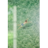 Sea 5