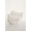 Vasque de limon blanc 