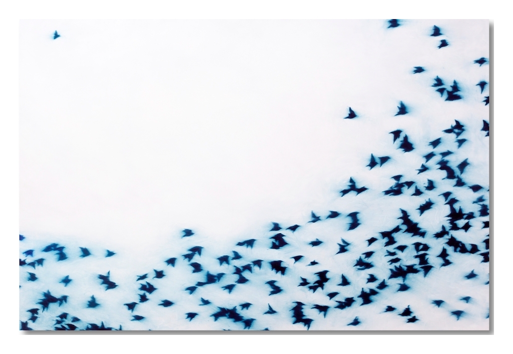 Flight-eberhard-ross-zeuxis