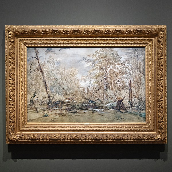 Théodore Rousseau - La voix de la forêt