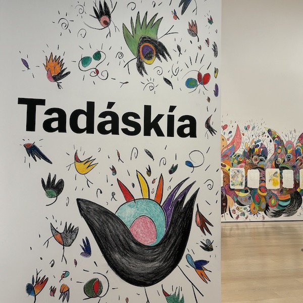 Wings of Change: Tadáskía's U.S. Solo Debut at MoMA