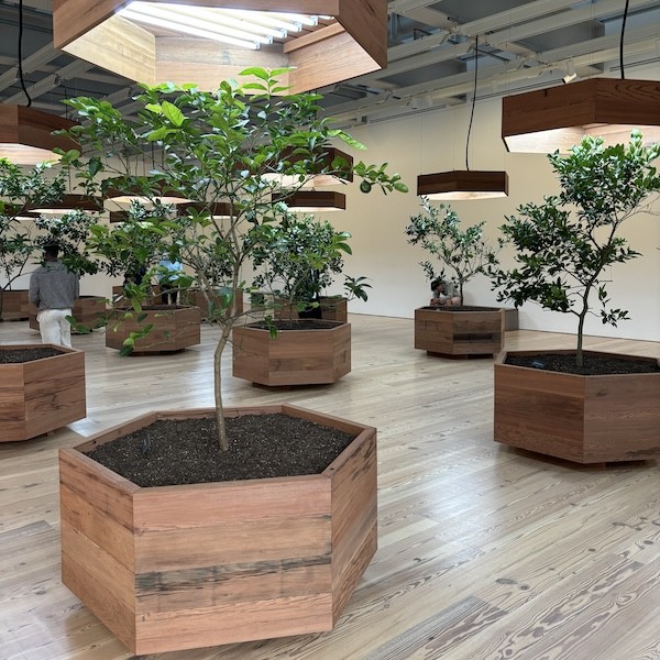 Survival Piece #5, Portable Orchard: A Visionary Installation at the Whitney Museum