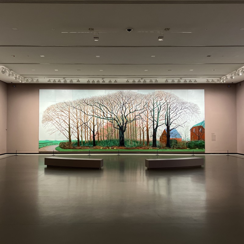 David Hockney 25: honoring seven decades of creation